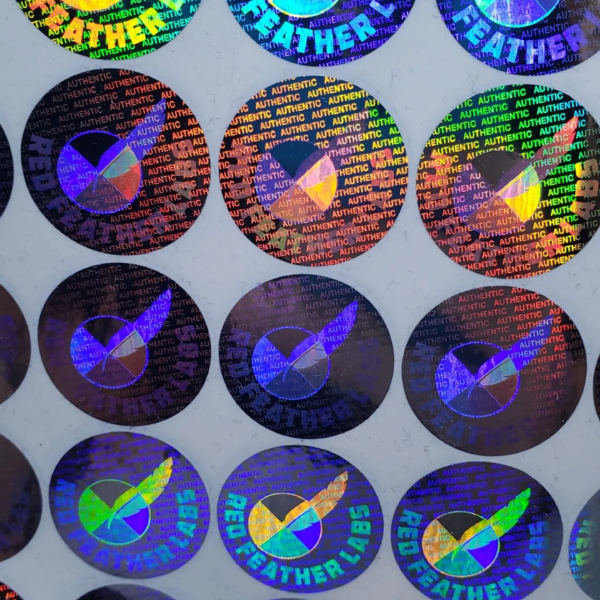 20201203_223107_resized-scaled